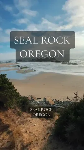 Seal Rock Oregon #pacificnorthwest #oregon #naturelovers #soundsofnature #sunnyday #pnw #oregoncoast #beach #pacificocean 