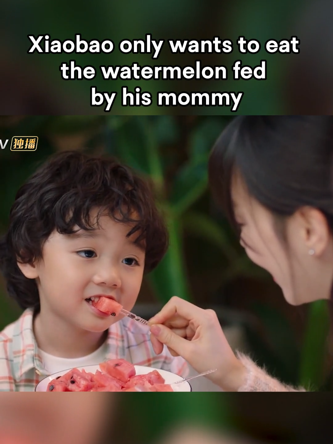 Xiaobao only wants to eat the watermelon fed by his mommy ❤ #UnforgettableLove #WeiZheming #mileswei #HuYixuan #MangotvSweetdrama #drama #Love #cdrama   Mobile users download MangoTV App 👉 https://bit.ly/MGTVIntl