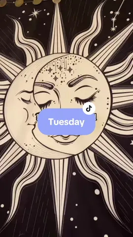 #tuesday #tuesdayvibes #happytuesday #goodvibes 