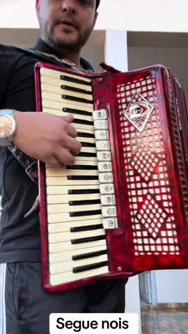 Morena Luxosa Porca Veia.                 #gaita #acordeon #gaiteiro #sanfoneiro #cascavelpr 