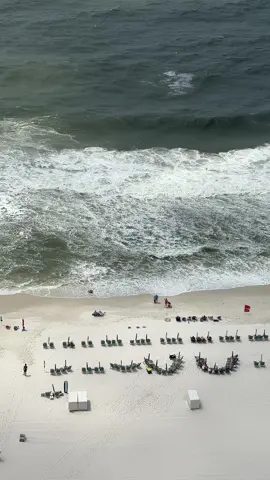 Double Reds are no bueno brotha 🚩🚩 #doublered #beach #orangebeach #alabama #vacation 