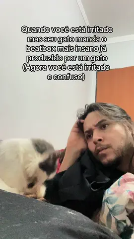 O gato otaku manda beatbox novamente #gatos #otaku #pets #viral 
