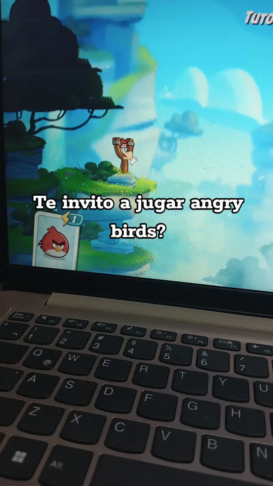 si o que?❤️‍🩹 #amigos#fyp #fypdongggggggg #fypdongggggggg #parati #fypシ゚viral #angrybird 