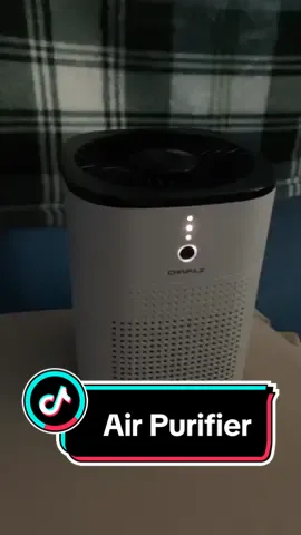 This soaks up all your dust #TikTokShop #purifier #summer2024 #flashsale 