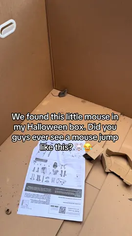 OMG 🐭😂 #mousejumps #fyp #foryou #foryoupage #funny 