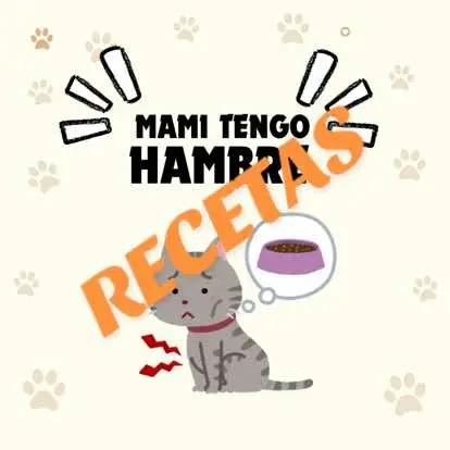 Aprende Hacer Una Rica Sopa Saludable Y Casera Para Tu Gato🐾😼 😺SIGUEME🐶 Para Mas Videos Como Este… #mascotassanas #gatos #Gato #gatitos #fyp #alimentossaludables #gatosfelices 