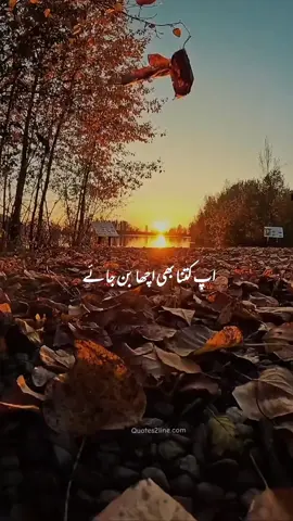 ✨تیرا وجود مٹ جائے گا⚡🍁 #todaystatus #Eid #quotes2line #whatsappstatus #capcut #shorts 