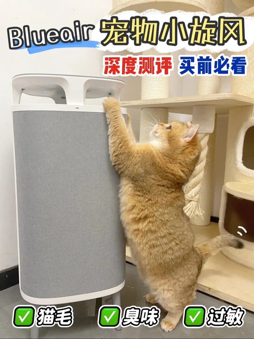 #寵物 #貓咪日常 #cat 