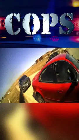 Traffic Stop Ends With Driver Speeding Off With Cop On Top Of Car Hood #cops #policeoftiktok #copstiktok #trending #viral #foryou #fyp