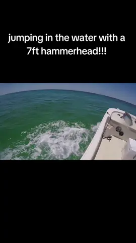 finally posting this epic video of my buddy jumping in on a 7ft hammerhead shark to swim with it after hitting 500k likes on tik tok the other day!!!  #destinationpc #lovepc  #thingsToDoInPanamaCityBeach #panamaCityToDo #VacationToDo #seaShells #thingsToDo #SunsetDolphin #sunset #upClose #JumpingDolphins #outdooradventures #fishies #sea #captian #natureLove #nature #GulfOfMexico #StAndrews #panamaCityBeach #PanamaCity #whiteSandyBeach #viral #fypシ゚viral #viraltiktok  #Gulf #Shellisland #DolphinTour #dolphin #Jetties #bottlenoseDolphin 
