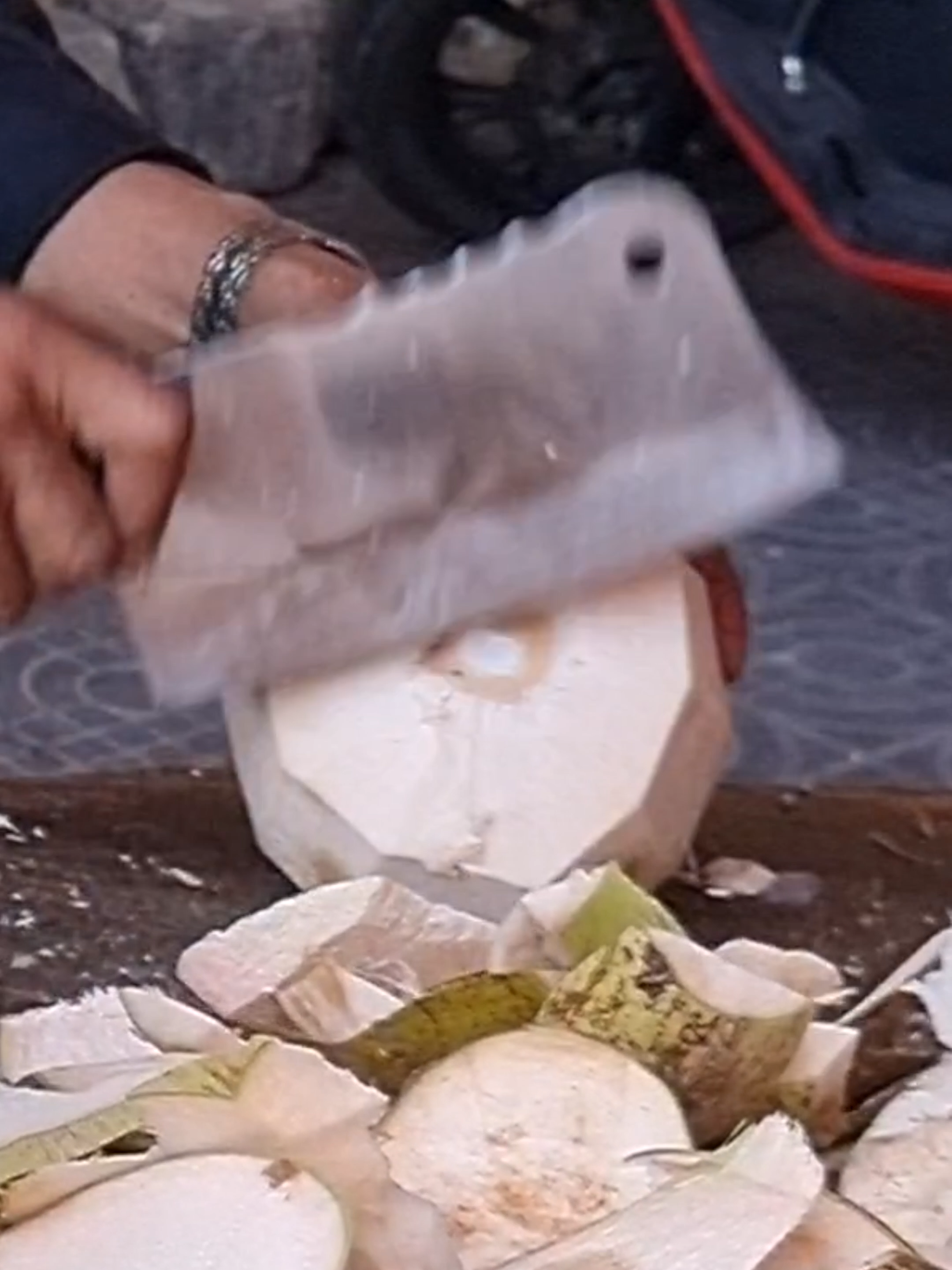 Do you like coconuts? Come here! Hurry! - fruit cutting skills! #fruit #coconut