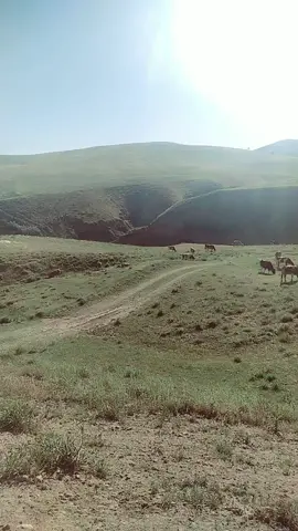 #keşfet 🥰🥰