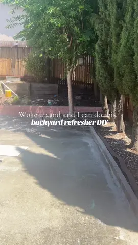 Part 1: backyard needed a little refresher, wanting european cottage style but on a budget. So far, im loving it! #DIY #homeimprovement #backyard #budgetfriendly #beforeandafter 