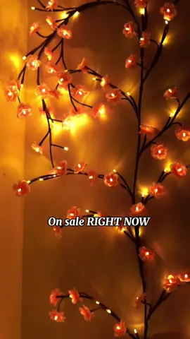 That’s romantic at home#fyp #light #treebranchlight #decor #roomdecor #hotsale #tiktokshopusa 