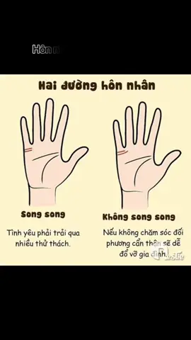 #xemchitayvatuvi #xemboi #xemchitay #xemtay #tuvi #lasotuvi #tuongso #short #tamlinh #xuhuong2024  #xuhuongtiktok #xuhuongtiktok2024 