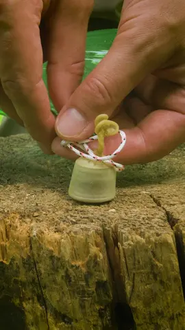 Survival skill: Awesome Lifehack with coins and bottle #survival #lifehacks #camping #DIY 