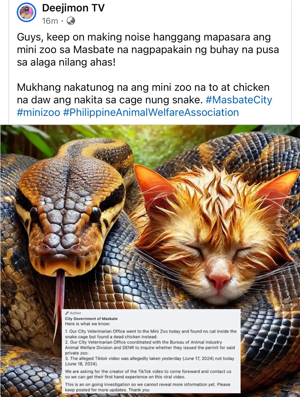 Masbate Mini Zoo nagpakain ng buhay na pusa sa alagang ahas. Sana lang talaga may mangyari sa investigation nila kasi parang kayang kaya sila paikutin ng zoo owners. 