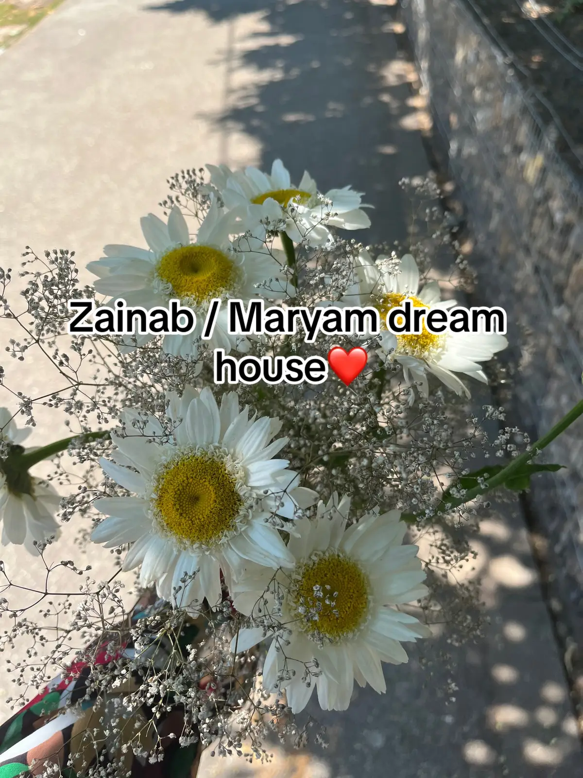 #dreamhouse #withmysister #muslimtiktok #zainab #maryam 