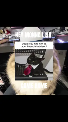 HEY MONNA LISA COME HOME‼️‼️🗣🗣🔥🔥 #cat #cats #catcore #hopecore #pinkcore #sillycat #kanyewest #flashinglights #fy #fyp #foryou 