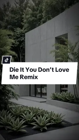Die If You Don’t Love Me Remix#CapCut #bachtuong205 #bachtuong #xuhuong #nhachaymoingay #2anh #xh #viral 