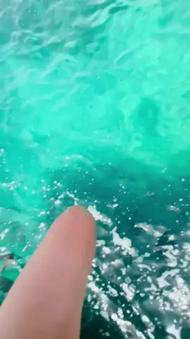 Start your day right 🫠🐠🐟🌊  #croatia #prementura #istrien #pula #rovinj #porec #croatiansea #besttime #snorkeling #snorkelingtrip #meer #reisenmithund #kroatien #summerincroatia #summetime #lovesummer #LifeIsGood #thankful 
