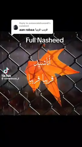 اناشيد سلاميه #سلامات #سوريا_تركيا_العراق_السعودية_الكويت #يمان_نجار #سلامات #اناشيد_إسلامية_حالات_واتس 