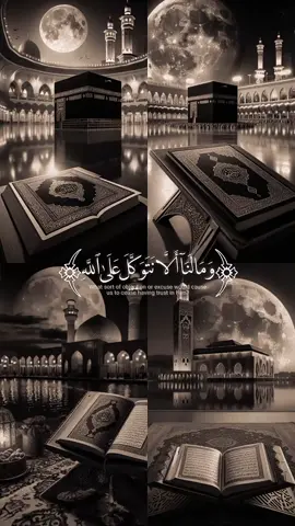 #CapCut #ومالنا_الا_نتوكل_على_الله🌹 #قرأن_كريم_ارح_سمعك_وقلبك #اكتب_شيئ_تؤجر_عليه‍_ #دقيقه_قرأن_🌍 #🌿قرأن_كريم🌿 #محبين_Quran_kaream_💙 