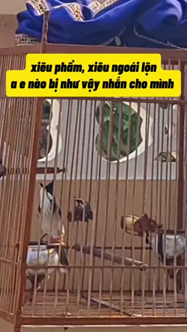 #chimchaomao #chimchaomao #capcut  có a e nào bị như thế này kg ?