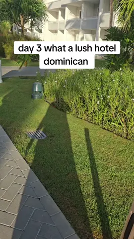 #dominican #swansea #tictoknic #grandbahia 