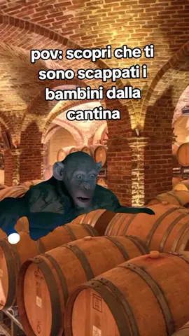 #CapCut aiutatemi a cercarli 