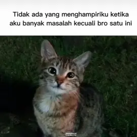 rill😁b#meme #memes #memestiktok #memetiktok #memelucu #memelucuindonesia #memelucungakak #memefacebook #memeinstagram #lucu #lucu_ngakak #ngakak#fypシ #fypシ゚viral #fypage #fyp #fypdongggggggg #like #follow #tiktoknews #tiktok #tiktokindia #xyzbca #xyzcba #indonesia🇮🇩 #viral #viralvideo #viraltiktok #videolucu #trending #trendingvideo #trendingtiktok #trendingmeme #trendingmemes 