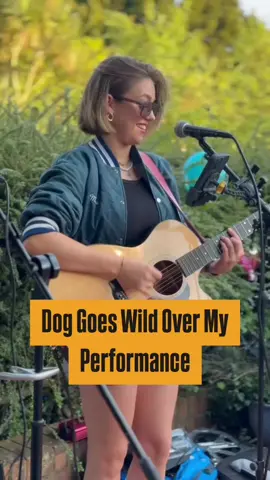 Dog goes wild over my performance #AllieSherlock #Performance #Cover #Singer #Guitar #Dog #Viral #Popular #FYP #ForYouPage #ForYou #Popular  
