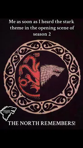 THE KING IN THE NORTH. House Stark had to wear my shirt. #stark #housestark #HOTD #houseofthedragon #got #creganstark #viral #gameofthrones #houseofthedragon #housestark #starksupremacy 