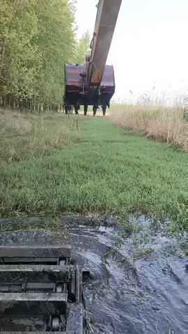 How to clean a swamp quickly