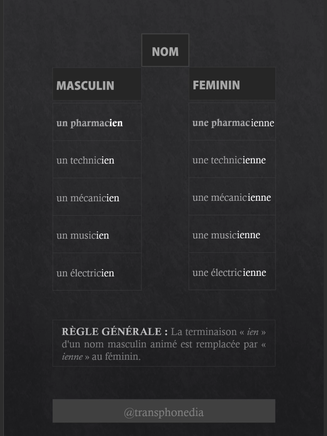 Le féminin des noms masculins animés : ien-ienne | Learn french easily #France #French #Paris