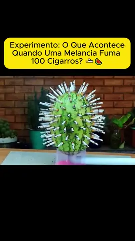 🍉🚬 Experimento: O Que Acontece Quando Uma Melancia Fuma 100 Cigarros? 🚬🍉 #curiosidade #curioso #curiosidades #experimentosparahacer #DIY #impossiblechallenge #fato #impossible 