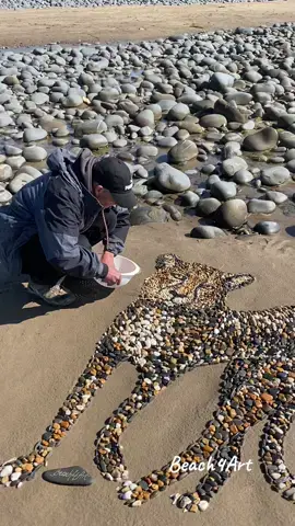 The Cheetah 🐆 Sandymere beach , June 10,2024 #environmentallyfriendly #landart #beachart #ephemeralart #cheetah #bigcats #inspiredbynature #artistsoftiktok #artistsoftiktok #familytime #fyp #commentontik #wildlifenet #fastestanimal