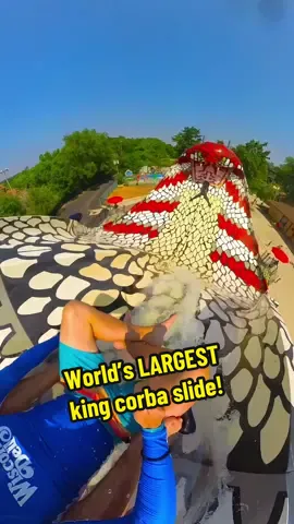 World’s LARGEST king cobra waterslide! 🤯 Would you try this? @Noahs Ark Waterpark @Wisconsin Dells #LovetheDells #WisDells #WisconsinDells  #travel #waterpark #waterslide #thrill #adrenaline 