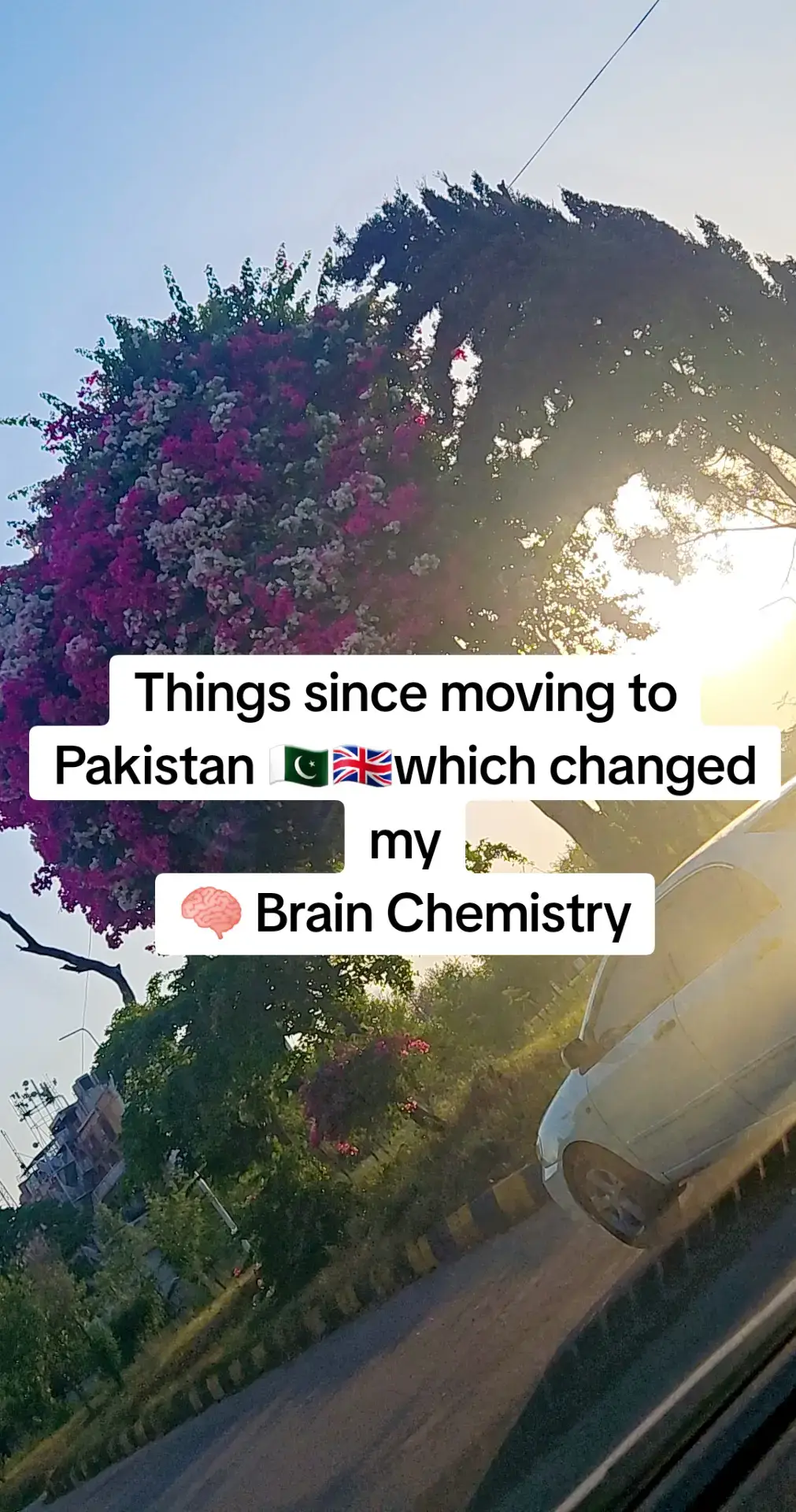 And they told me NOT to come. Imagine I listened and didn't get to experience all this. Going STRONG 4months on 👊. This is just a months worth of photo dumps. #overseaspakistani #britishpakistani #pakistan #fypofficial #fyp #foryoupage #explorepakistan #islamabadian #foryoupageofficially #pakistani #islamabad #browntiktok #expatlife #uk #creatorsearchinsights #desi 