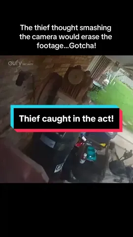 You can’t hide from these security cameras! 📹👀 #fy #fyp #securitycamera #caughtoncam #cctv #crime #neighborhood #thief #vandal 