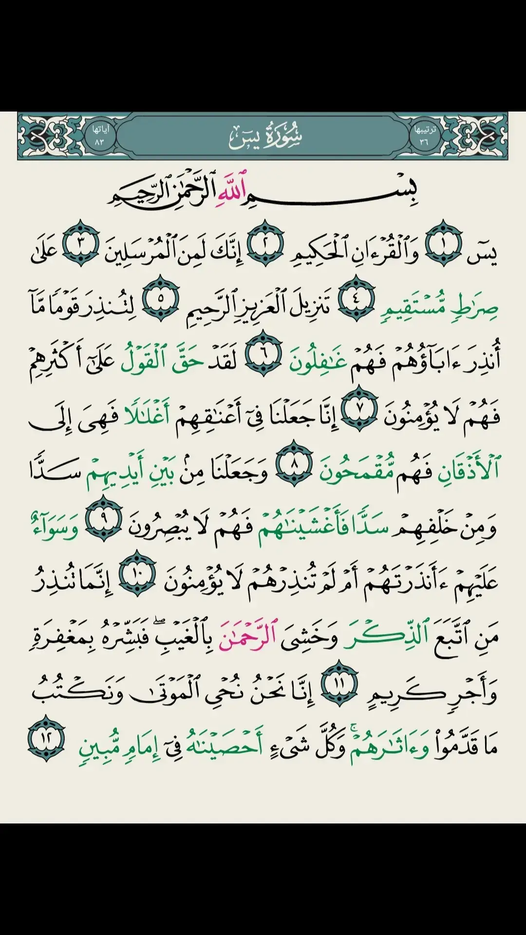 #القران_الكريم  #سورة_يس 