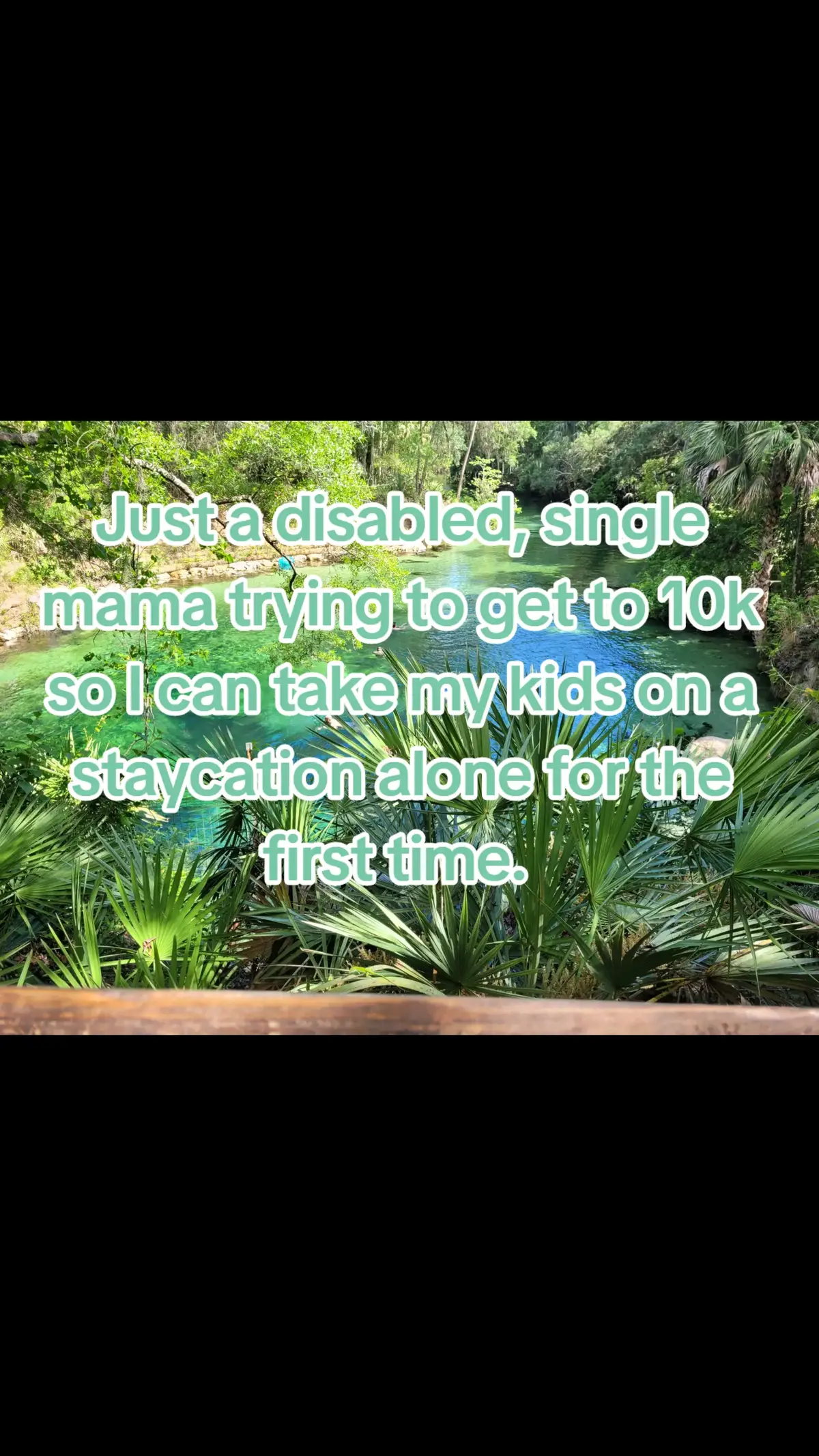 I'd love to have enough left over each month to go explore with the kids. We are doing karst geography, tropical ecosystems and botany this year, so I'd love to be able to take them to the springs. Just us. #10k #roadto10k #singlemomlife #staycation #floridasprings #chronicillness #roadtrip 