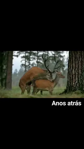 #anosatrás 