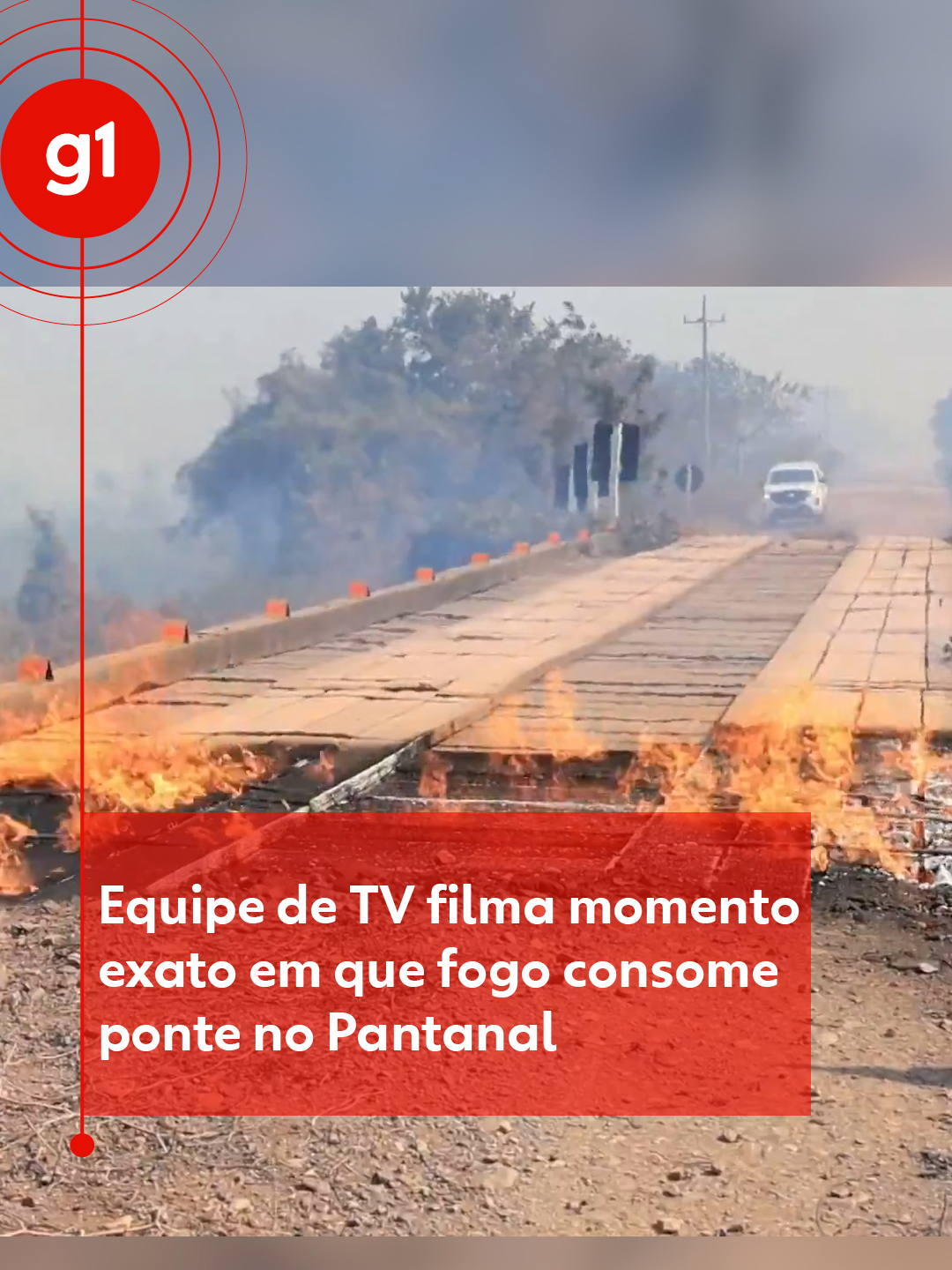 Flagrante - Uma equipe da TV Morena, afiliada da TV Globo em Mato Grosso do Sul, registrou o momento exato em que o fogo consumiu uma ponte, na Estrada Parque, na região do Pantanal. Os repórteres Dyego Queiroz e Itamar Silva estavam a poucos metros da ponte, quando foram surpreendidos por uma densa fumaça. O ar cinza anunciava que o fogo já consumia a ponte de madeira. Por questões de segurança, a equipe só se aproximou após a fumaça se dissipar. Mesmo após a passagem da densa camada de ar cinza, o fogo seguiu ardendo pedaços de madeira da ponte. Veja mais no #g1  #pantanal #incêndios #tiktoknoticias