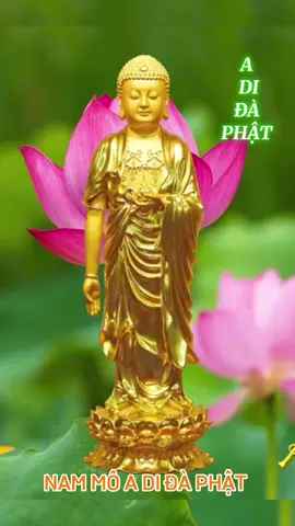 PHẬT THUYẾT ĐẠI THỪA VÔ LƯỢNG THỌ  TRANG NGHIÊM THANH TỊNH  BÌNH ĐẲNG GIÁC KINH  PHẨM BA MƯƠI BA KHUYẾN DỤ SÁCH TẤN  Người đời vì sự tranh đua nên sống trong cảnh thô bạo khổ cực nhọc thân làm lụng để tự cung cấp. Tôn quí ti tiện, nghèo khổ giàu sang, lớn nhỏ trai gái phải lao tâm khổ trí, suy nghĩ lo toan. Không nhà lo nhà, quyến thuộc tài vật, có hoặc không cũng lo, có rồi còn thiếu, muốn sao cho bằng người. Nên ít muốn vừa đủ. Lại còn lo sợ vô thường, nước lửa trộm cướp, oan gia trái chủ, lửa thiêu nước chìm, tiêu tan sạch sẽ, tâm ý khư khư không chịu buông xả, mạng chung hết thở, không ai tránh khỏi, nghèo giàu như nhau, sầu khổ trăm mối. Thế nên ở đời cha con anh em, vợ chồng thân thuộc nên thương kính nhau, không nên ghét giận nhau, có không nên thông cảm nhau, không nên tham tiếc, nói năng hòa nhã đừng chống đối nhau. Hễ có tranh cãi liền sanh giận dữ, thành oán thù nhiều kiếp về sau, sự việc ở đời đem nhiều khổ lụy, tuy chưa gặp phải, phải gấp có ý tưởng ngăn trừ. Con người vì ái dục nên phải sống chết qua lại sáu nẻo tự chịu khổ vui không ai thay thế được, lành dữ biến hóa theo đó đi thọ sanh không đồng, tụ họp không hạn kỳ. Lúc còn cường tráng sao không nỗ lực tu tập đợi đến lúc nào?  Người đời, không biện biệt được tốt xấu cát hung họa phước, thần trí ngu muội, lại theo các giáo điều khác, liên tiếp điên đảo, nguồn gốc vô thường mê mờ không chịu suy xét, chẳng tin kinh pháp, không biết lo xa, say mê giận hờn, tham đắm tài sắc, trọn chẳng ngừng nghỉ, thật đáng thương thay!  Đời trước ngu muội, không biết đạo đức, không ai chỉ bảo đâu có lạ gì? Sanh tử luân hồi, thiện ác báo ứng đều chẳng tin tưởng cho là không có. Tự thử nhìn lại: Nào cha khóc con, con khóc cha, anh em vợ chồng than khóc lẫn nhau, một đời sanh tử tiễn đưa thương tiếc, buồn thương trói buộc không sao giải nổi, nghĩ nhớ ân sâu không ngoài tình dục, sao chẳng suy cùng xét kỹ chuyên tâm hành đạo, khi tuổi già mạng hết không biết làm sao?  Kẻ mê thì nhiều, người ngộ đạo rất ít, phần nhiều ôm lòng giết hại, ác khí tràn đầy làm điều hư dối, trái ngược trời đất mặc tình tạo tội, khi mạng sống hết, đọa vào ác đạo không biết ngày ra. Các ngươi phải nghĩ kỹ, xa lìa điều ác siêng làm việc lành, ái dục vinh hoa không thể giữ mãi, đều phải ly biệt chẳng có vui gì! Nên phải siêng năng tinh tấn cầu sanh về cõi An Lạc được trí huệ sáng suốt công đức thù thắng, đừng theo tâm tham dục, cô phụ kinh giới, uổng phí đời sau. NAM MÔ A DI ĐÀ PHẬT 🙏🏻🙇🪷 Nguyên Hán bản: Ngài HẠ LIÊN CƯ (hội tập) Việt dịch: HT. Thích Đức Niệm & Cư sĩ Minh Chánh Nguyện Đem Công Đức Này  Trang Nghiêm Phật Tịnh Độ  Trên Đền Bốn Ân Nặng Dưới Cứu Khổ Ba Đường  Nếu Có Ai Thấy Nghe  Đều Phát Bồ Đề Tâm  Hết Một Báo Thân Này  Sanh Qua Cõi Cực Lạc. #nammobonsuthichcamauniphat  #nammoadidaphat🙏🙏🙏  #nammoadidaphat #phatphap  #nammoquantheambotat🙏🙏🙏  #nammodaithechibotat  #nammodiatangvuongbotat  #nammothanhtinhdaihaichungbotat🙏🏻 #kinhvoluongtho  #niemphat #niemphatvangsanh  #niemphatmoingay #capcut  #xuhuong #xuhuongtiktok  #adidaphat #adidaphat🌿 