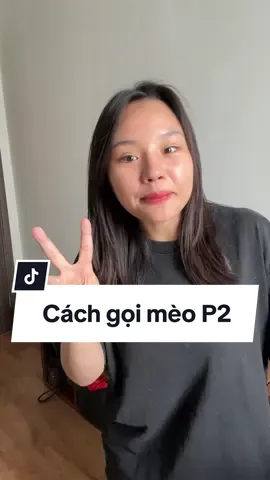 Biết tên đấy nhưng mà lúc nào mắc ngủ cx k thèm thưa đâu 🌝 #thaomeo #meocheck #mèo 
