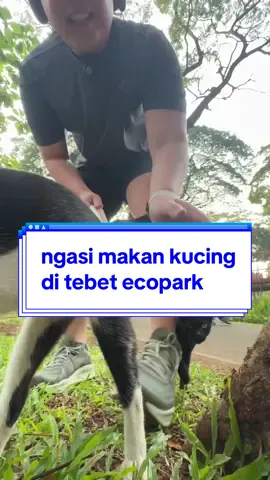aaaaaa bakal kesini tiap hari