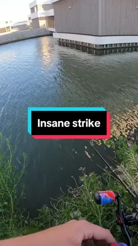 This strike makes me live 10 years shorter #pike #fishing #fishtok #fish #nature #fishingtiktoks #spring #nature #fishingtiktoks #fishcontent #pikelures #fishinglife #fishattack #fisherman #pikefishing #pikestrike 