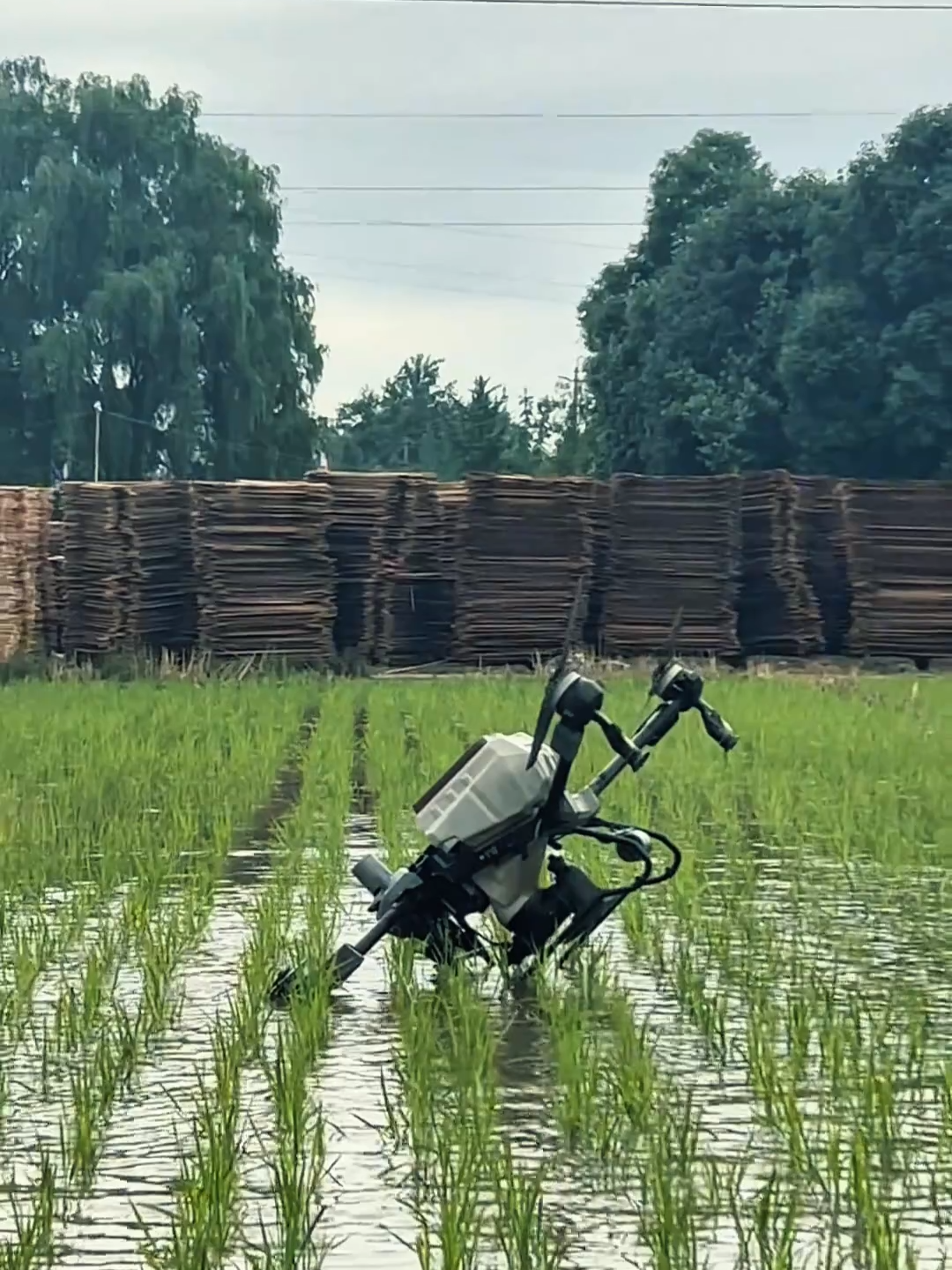#drone#dronephotography#photograph#agriculture#tiktok#dronevideo#drone#fypage#dji#fyp