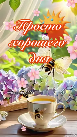 Хорошего дна #хорошегодня #удачногодня 